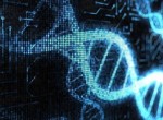 Преимплантационная генетическая диагностика Преимплантационная генетическая диагностика